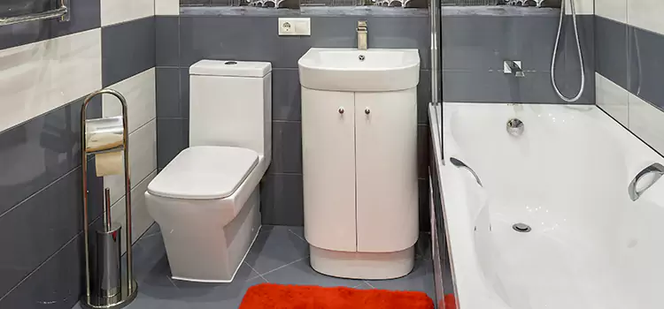 Hansgrohe Shaving Mirror Point Pleasant